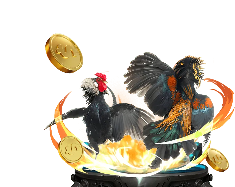 Đội ngũ live house casino làm việc trong môi trường hiện đại